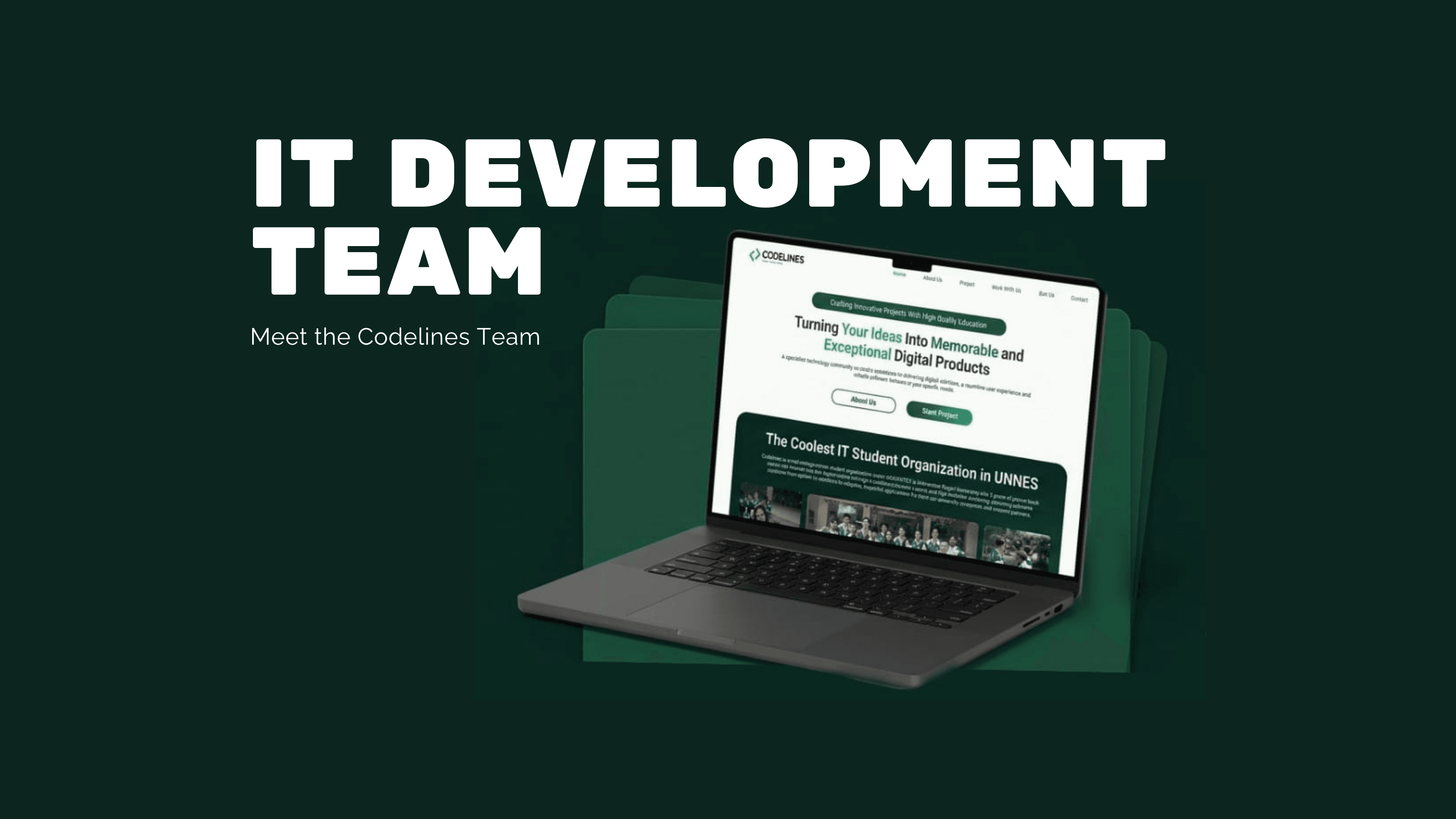 IT DEVELOPMENT